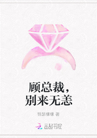 顾总裁,别来无恙