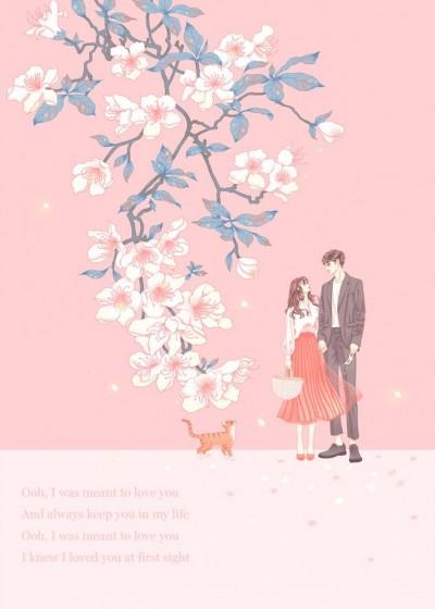 婚浅情深:前夫,请滚远点沈卿卿霍霆萧